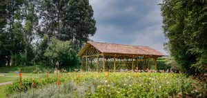 HACIENDA EL SALITRE ¡A OTRO NIVEL! Salón de bodas Planificador de eventos Organizador de eventos Capilla para bodas Planificador de bodas Estudio de grabación Salón para eventos