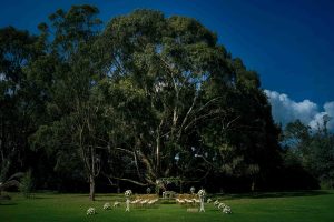 HACIENDA EL SALITRE ¡A OTRO NIVEL! Salón de bodas Planificador de eventos Organizador de eventos Capilla para bodas Planificador de bodas Estudio de grabación Salón para eventos #HaciendaElSalitre #salondeeventos #eventoscampestres #photography #weddingdress #Colombia #bodas #celebración #Sopó #locación #decoracion #eventos #eventossociales #novios #weddingday #fotografiadebodas