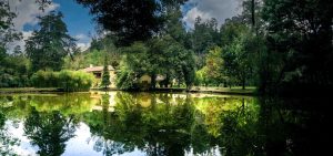 HACIENDA EL SALITRE ¡A OTRO NIVEL! Salón de bodas Planificador de eventos Organizador de eventos Capilla para bodas Planificador de bodas Estudio de grabación Salón para eventos #HaciendaElSalitre #salondeeventos #eventoscampestres #photography #weddingdress #Colombia #bodas #celebración #Sopó #locación #decoracion #eventos #eventossociales #novios #weddingday #fotografiadebodas